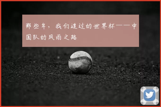 那些年,我们追过的世界杯——中国队的风雨之路