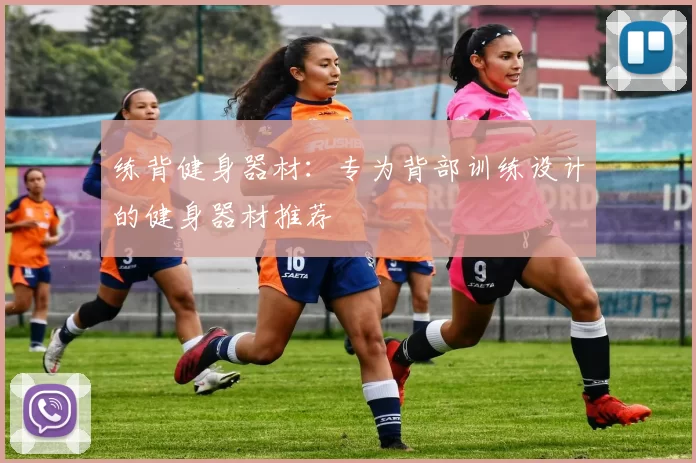 练背健身器材：专为背部训练设计的健身器材推荐