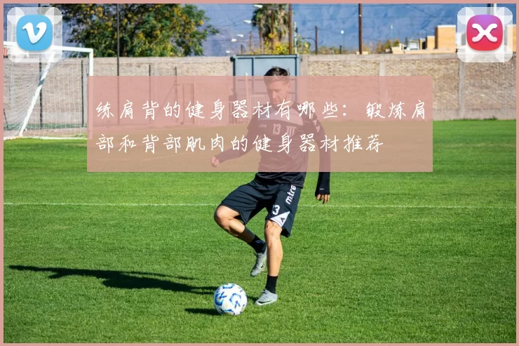 练肩背的健身器材有哪些:锻炼肩部和背部肌肉的健身器材推荐