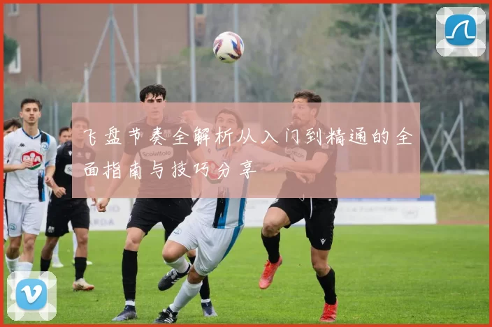 飞盘节奏全解析从入门到精通的全面指南与技巧分享