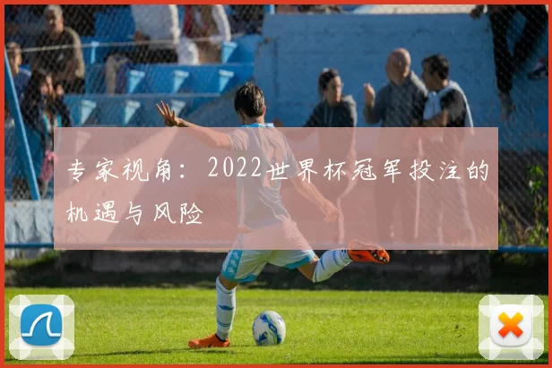 专家视角：2022世界杯冠军投注的机遇与风险