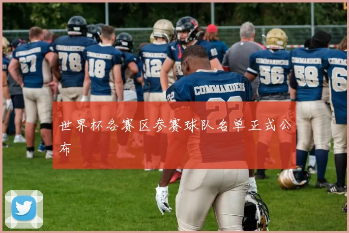 世界杯各赛区参赛球队名单正式公布