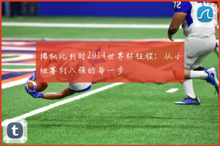 揭秘比利时2014世界杯征程：从小组赛到八强的每一步