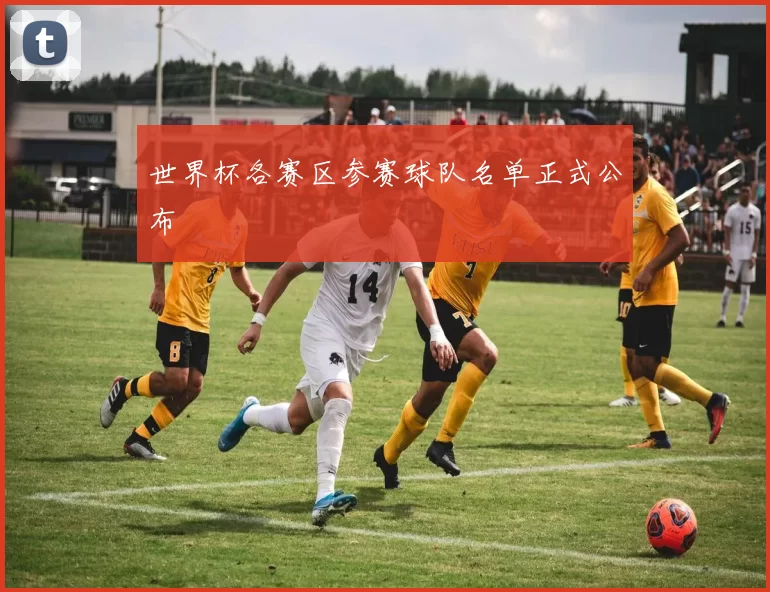 世界杯各赛区参赛球队名单正式公布